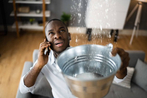 Best Local water damage restoration  in Coburg, OR