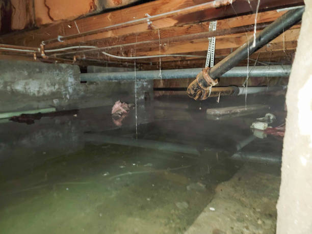 Reliable Coburg, OR Water damage restoration Solutions