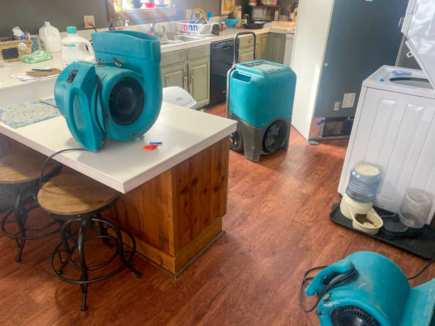 Best Flooded house restoration  in Coburg, OR