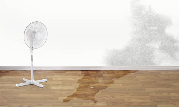 Best Residential water damage restoration  in Coburg, OR