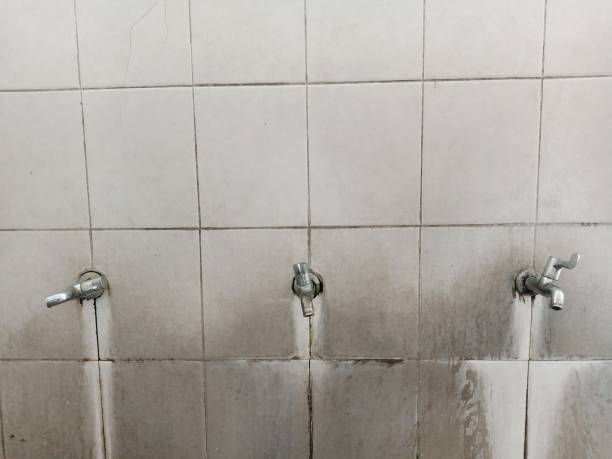 Best Water damage restoration insurance claims  in Coburg, OR