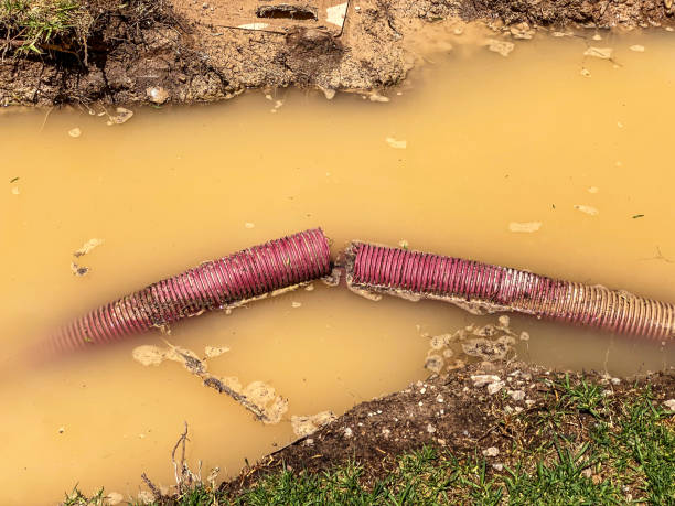Best Sewage cleanup and water damage restoration  in Coburg, OR